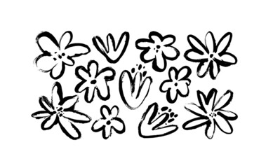 Black ink drawing flowers, monochrome artistic botanical illustration isolated on white background. Hand drawn floral vector elements. Tiny brush strokes. Chamomile and daisy cliparts. 