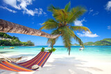 Fototapeta Mapy - amazing palm beach with turquoise sea and colorful hammock