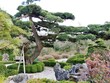 Chinesischer Garten im Arboretum Ellerhoop