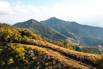 Canvas Print - high angle view of forest and mountains in summer