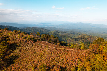 Canvas Print - high angle view of forest and mountains in summer