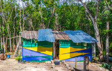 Colorful Corrugated Iron Hut In Tropical Jungle Mexico.