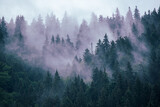Fototapeta Sypialnia - Misty mountain landscape