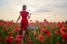 Summertime. Young Woman In Dress Walking On Red Poppy Field.