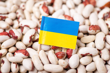 Poster - Close-up shot of flag of Ukraine on haricot. Trade of haricot, growing beans in Ukraine