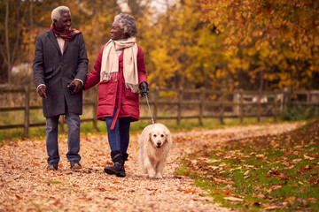 Senior Couple Walking With Pet Golden Retriever Dog In Autumn Countryside