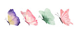 Fototapeta  - Colorful butterflies watercolor isolated on white background. Purple, yellow, green and pink butterfly. Spring animal vector illustration