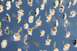 © Milou Dirks - Wallpaper of multiple daisy flowers on mirror reflecting the blue sky in spring