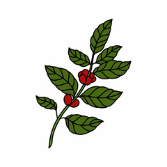 coffee plant doodle icon, vector color line illustration