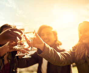 Wall Mural - Heres to friendship. Shot of a group of young friends having fun at a picnic.