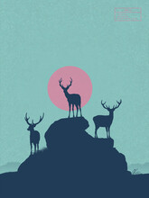 Deer Family On Rocks. Animal Silhouettes. Full Moon At Starry Night