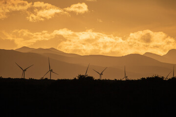 Wall Mural - Wind farms seen from Addo Elephant National Park