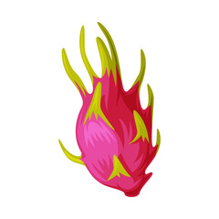 Sticker - Dragon Fruit as Thailand Symbol and Famous Object Vector Illustration