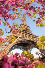 Fototapete - Eiffel Tower during spring time in Paris, France