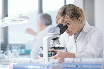 Wall Mural - medical researcher working in the lab