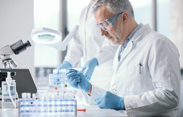 Wall Mural - medical researcher working in the laboratory