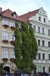 Kamienice porośnięte bluszczem, Nowy Świat, Praga
