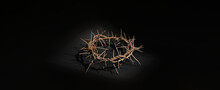 Crown Of Thorns On Black Background