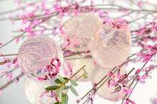 Ice With Fresh Pink Flowers On Light Background