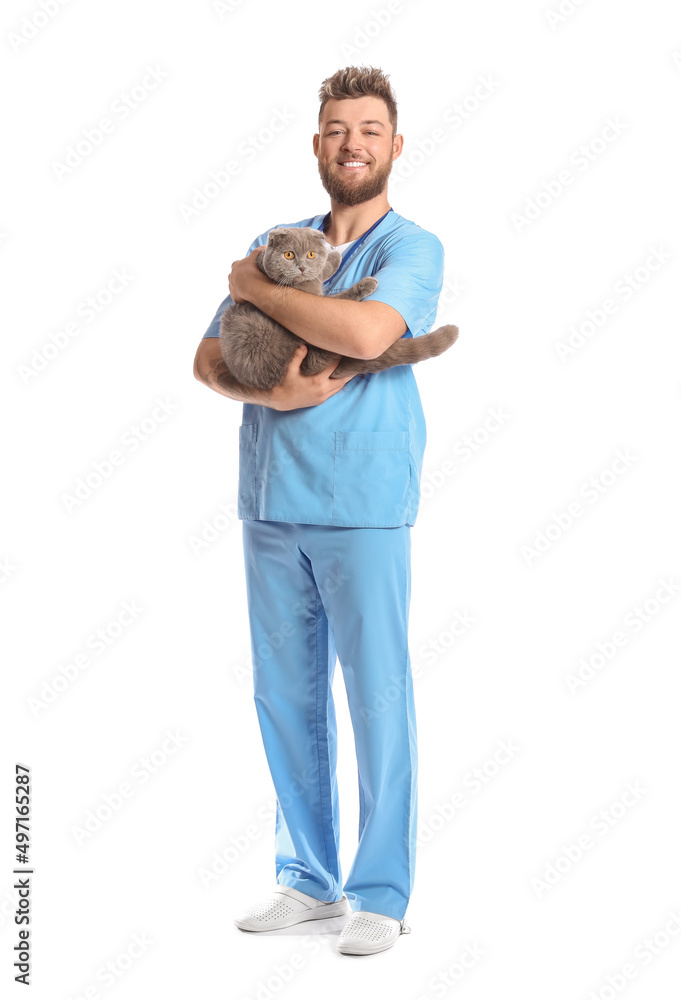 Male veterinarian with Scottish fold cat on white background