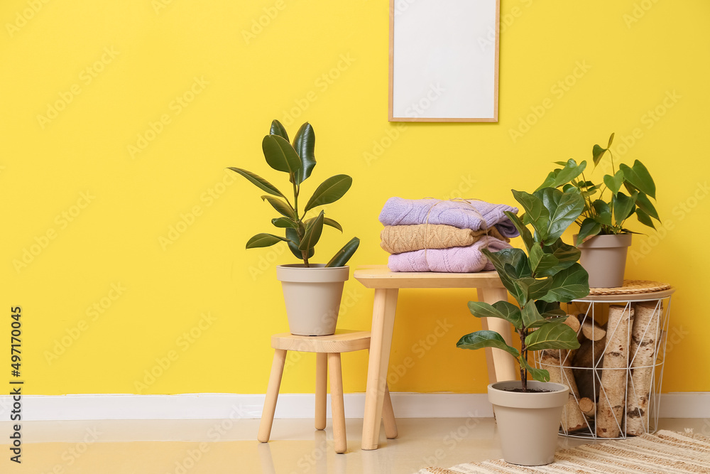 Tables with stack of knitted sweaters and houseplants near yellow wall