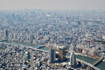 Wall Mural - Taking in Tokyo