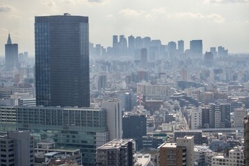 Wall Mural - Taking in Tokyo