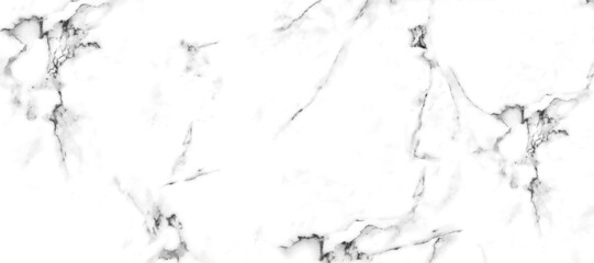 Canvas Print - white carrara statuario marble texture background, calacatta glossy marbel with grey streaks, satvario tiles, bianco superwhite, italian blanco catedra stone texture for digital wall and floor tiles.