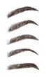 Eyebrows in different shapes. Linear vector Illustration in trendy minimalist style. Brow bar logo.