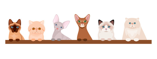 A set of funny cats on a white background. Cartoon design. Pets.
