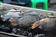 Grilled Salted Sea Fish. Salt-baked Tilapia Filled With Herbs  Grilled Over Charcoal. Market In  Hua Hin, Thailand.