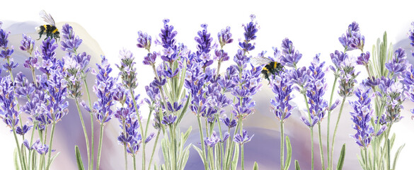 Wall Mural - Seamless border with lavender flowers and bee. Hand draw watercolor images. Spring summer banner template