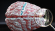 Neurosis in human brain, a concept showing hundreds of crucial words related to Neurosis projected onto a cortex to fully demonstrate broad extent of this condition, 3d illustration