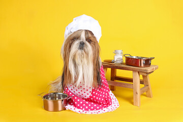 Wall Mural - funny cooking chef dog  on yellow background 