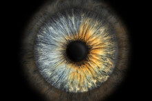 Close-up (macro Photo) Of The Iris Of A Two-color Eye, Ideal For Background Or Texture.