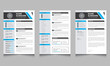 Infographic Resume Layout, Professional Cv and Cover Letter Template, Modern Resume Layouts