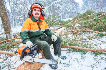 Wall Mural - Lumberjack portrait cutting tree in snow winter forest