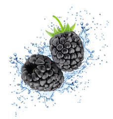 Wall Mural - Blackberry in water splashes isolated on white background.