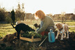 © cherryandbees - woman gardening herbs with companionship of her dogs in her backyard garden