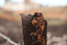 Closeup Shot Of The Rusty Fence Post On A Blurred Background