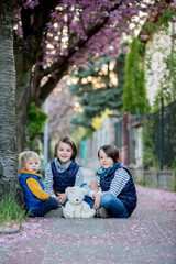 Canvas Print - Children, playing on the street with blooming pink cherry trees on sunset