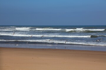 Sticker - Sidi Ifni beach in Morocco