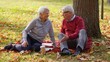 © CameraCraft - Senior Caucasian married couple enjoy their retirement concept picnic in the park full shot selective focus . High quality photo