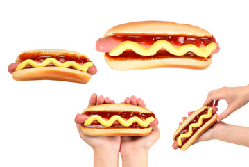 Wall Mural - Hot dog in woman hand isolated on white background. Copy space.