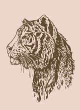 Graphical Vintage  Portrait Of Tiger , Sepia Background,vector Element
