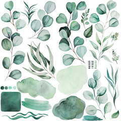 Wall Mural - Watercolor green eucalyptus leaves and spots elements illustration