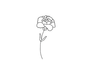 Wall Mural - Vector isolated single pretty carnation flower blossom colorless black and white contour line drawing