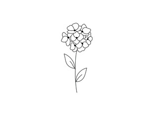 Wall Mural - Vector isolated single pretty hydrangea flower blossom twig colorless black and white contour line 