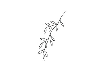 Wall Mural - Vector isolated simple pretty hanging twig with leaves colorless black and white contour line drawing