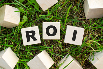 The word ROI is written on wooden cubes. The blocks are located on green grass with sunlight.